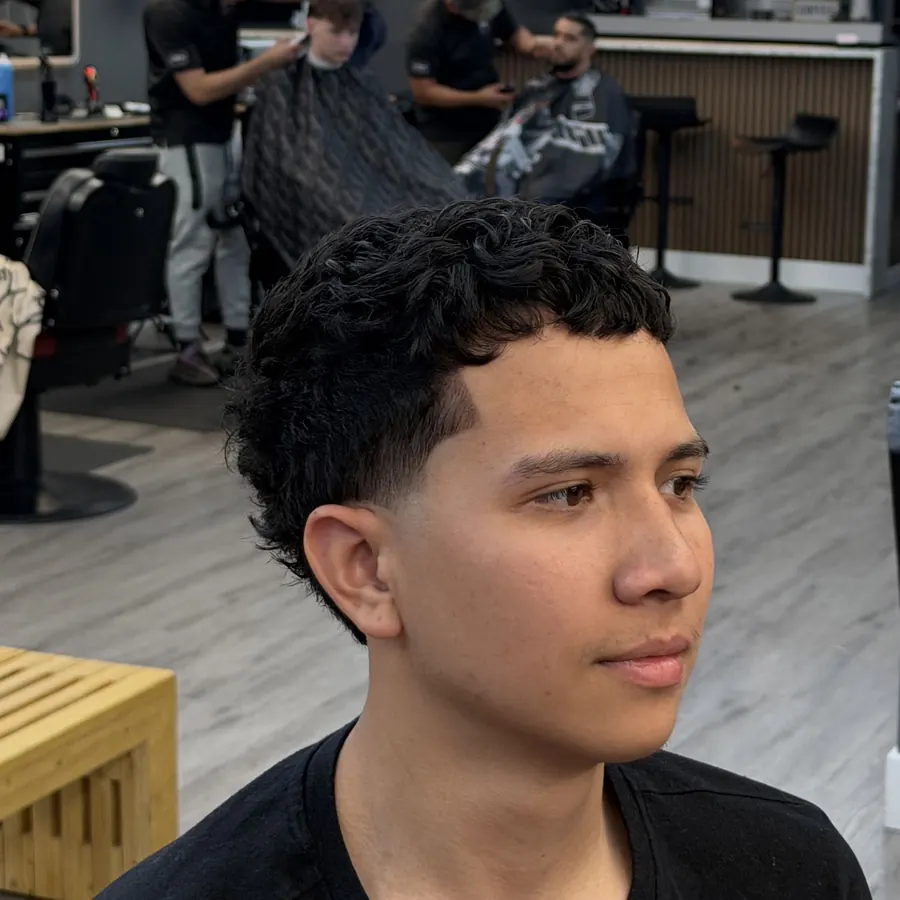Curly top with a clean taper